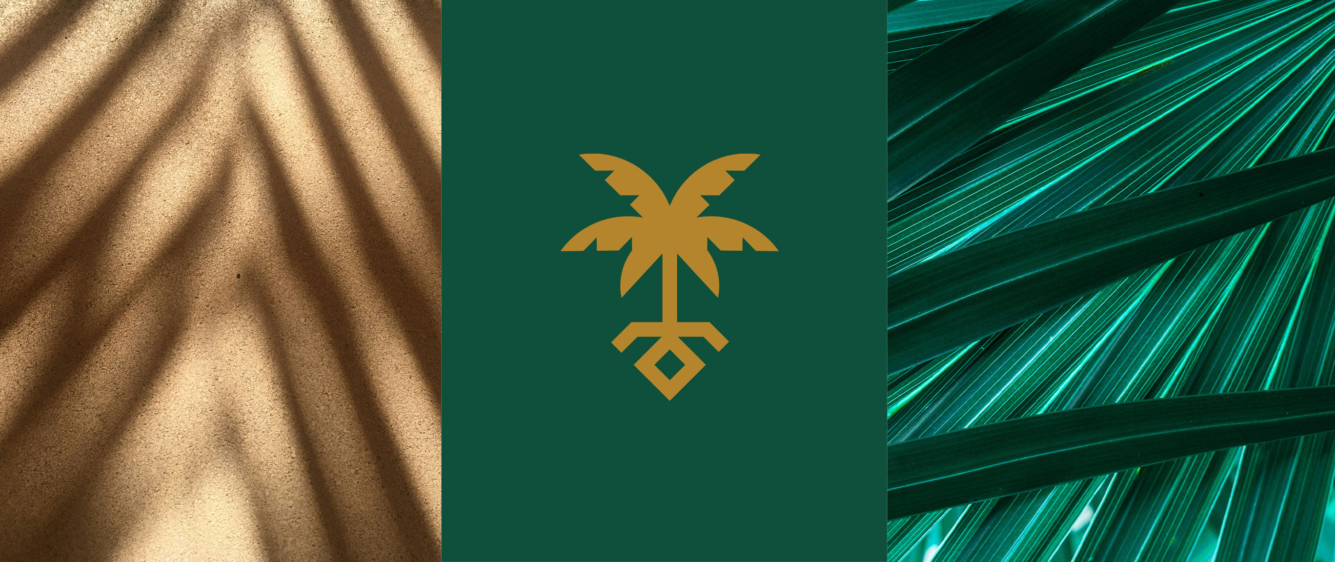 chilton-trust-royal-palm-logo-identity-branding-3-image