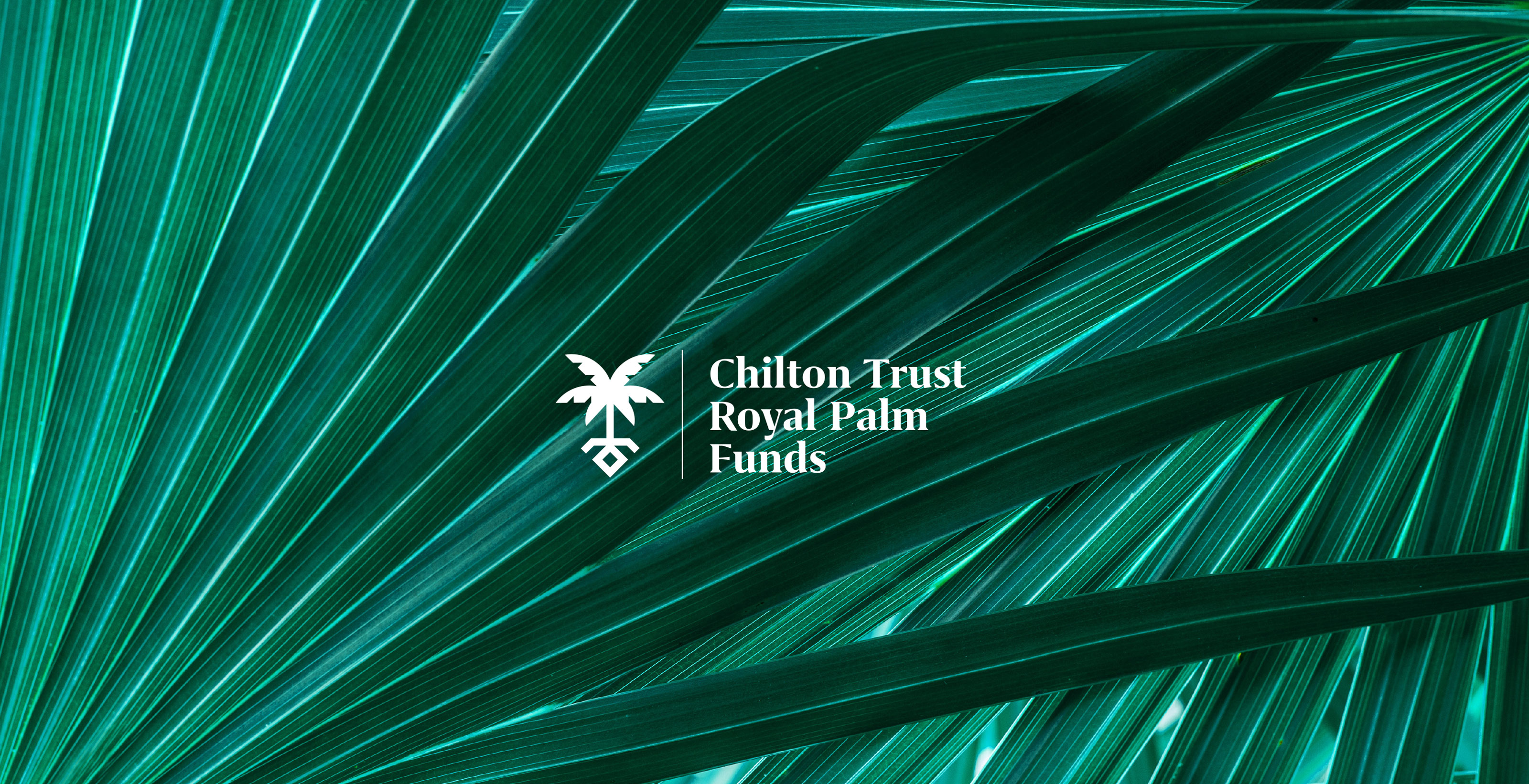 chilton-trust-royal-palm-logo-identity-branding-4
